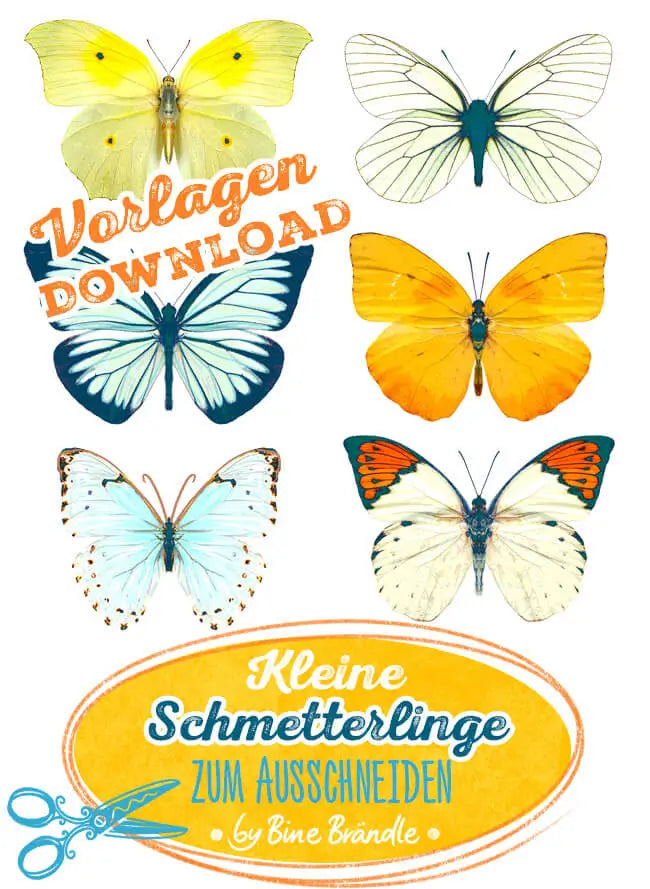 Kleine Schmetterlinge