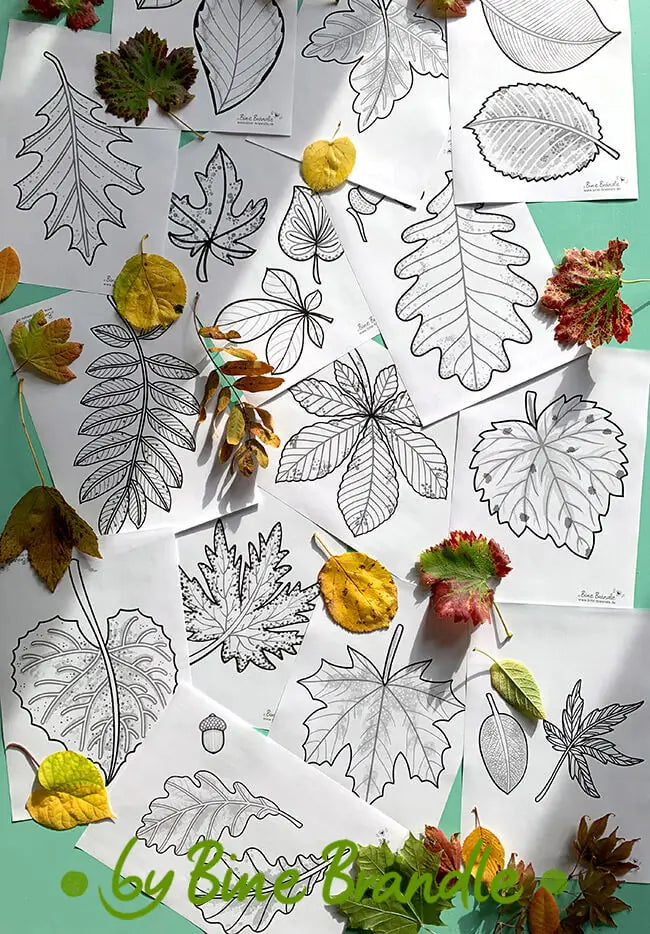 Große Blätter - Lustige Herbstblätter in A4 – Bines Download Shop