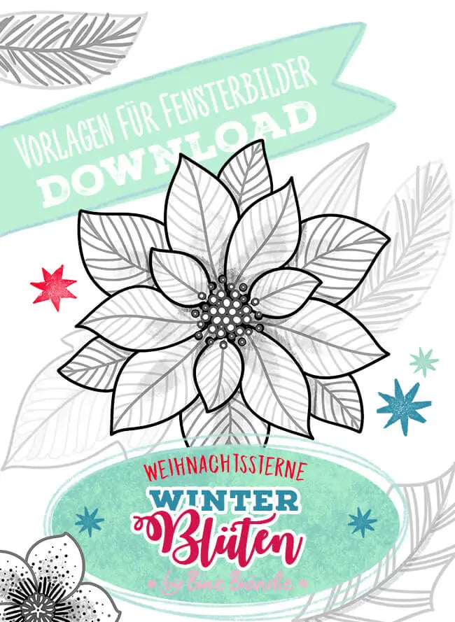 Winterblüten